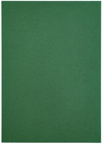 Kopieerpapier Papicolor A4 200gr dennengroen pk/6-3
