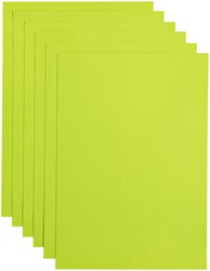 Kopieerpapier Papicolor A4 100gr appelgroen pk/12