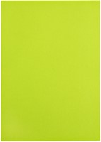 Kopieerpapier Papicolor A4 100gr appelgroen pk/12-3