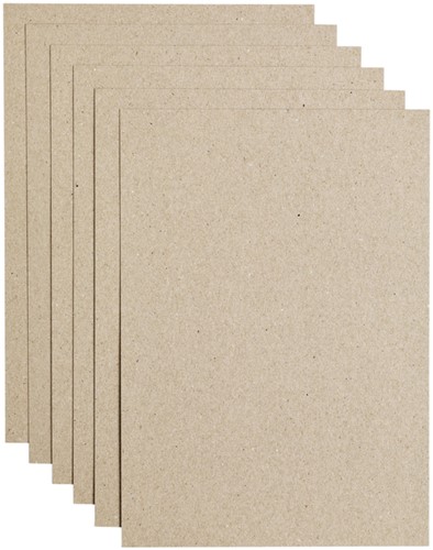 Kopieerpapier Papicolor A4 100gr kraftgrijs pk/12