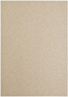 Kopieerpapier Papicolor A4 200gr kraftgrijs pk/6-3