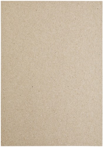 Kopieerpapier Papicolor A4 200gr kraftgrijs pk/6-3