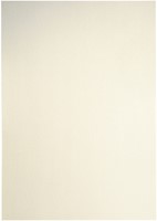 Kopieerpapier Papicolor A4 120gr ivoor pk/6-3