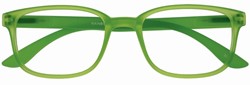 Leesbril X +3.00 Regenboog Groen