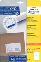 Etiket A4 210x297mm 6119 ds/25