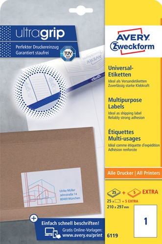 Etiket A4 210x297mm 6119 ds/25