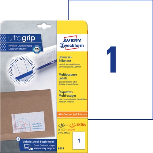Etiket A4 210x297mm 6119 ds/25-3