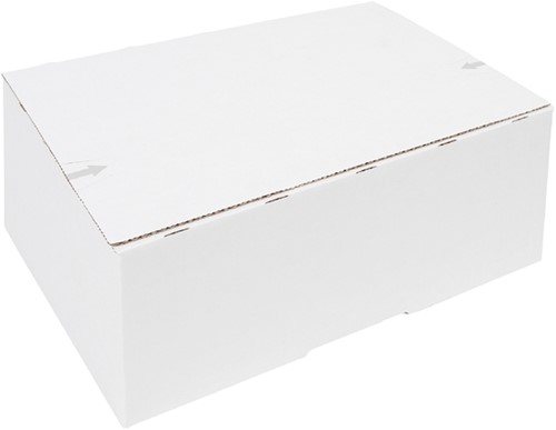 Postpakketbox Budget 4 305x215x110mm bruin
