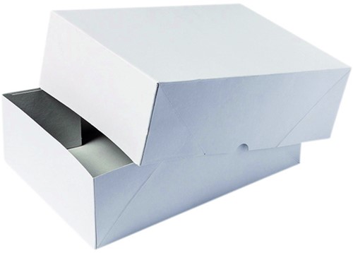 Paraatdoos Budget A4 305x215x50mm voor 500vel wit pak/10