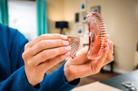 Secondelijm Loctite Control tube 3gram op blister-1