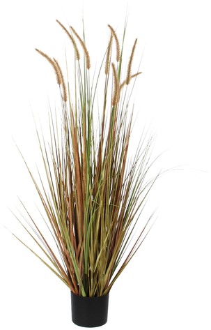 Kunst pluimgras Dogtail 120cm exclusief pot groen