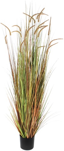 Kunst pluimgras Dogtail 180cm exclusief pot groen