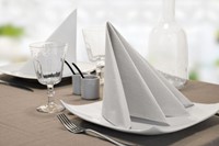 Servetten Tork 477149 2laags 33x33cm wit 200st.-3
