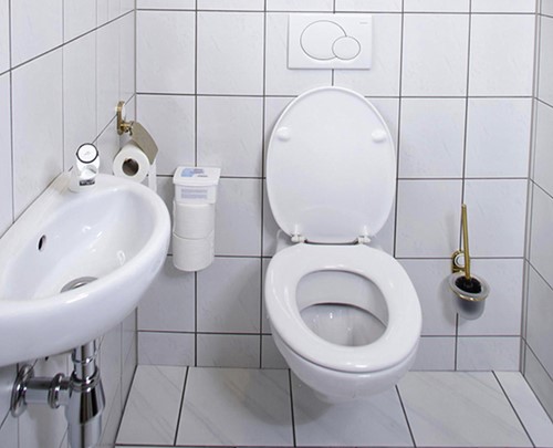 Sanitairreiniger Alledag spray HG 500ml-3