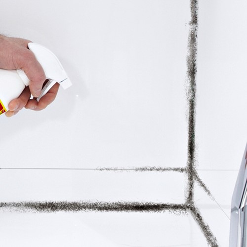 Schimmelreiniger spray HG 500ml-2