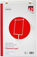 Flipoverpapier ruit/blanco (opgerold in koker) 65x100cm -2