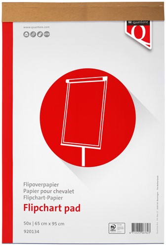Flipoverpapier ruit/blanco 65x100cm Quantore 50vel