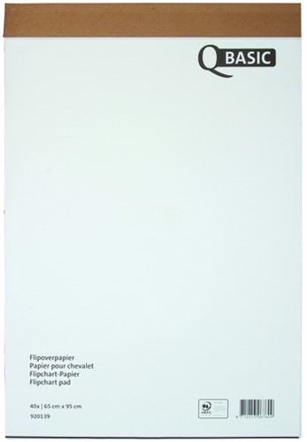 Flipoverpapier ruit/blanco 65x100cm budget 50vel