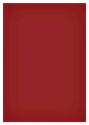 Magneetvel Maul 200x300mm rood
