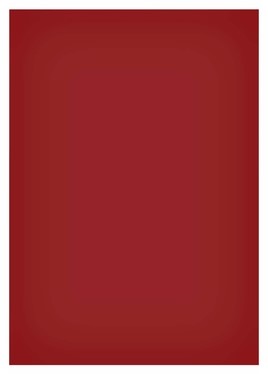 Magneetvel Maul 200x300mm rood