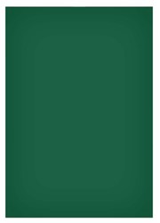 Magneetvel Maul 200x300mm groen