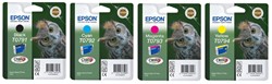Epson inkjetprintersupplies T06-T07