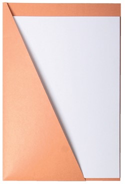 Quantore ICN1 insteekmap