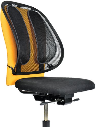 Rugsteun Fellowes Office Suites Gaas