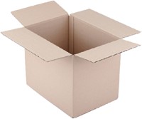 Verzenddoos 486x386x386mm Cleverpack 155 dubbelgolf pk/5-2