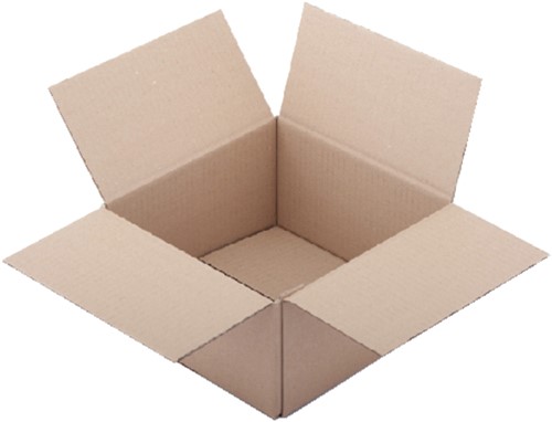 Verzenddoos 200x200x110mm bruin Budget enkelgolf