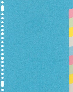 Kangaro tabbladen karton gekleurd 23-gaats