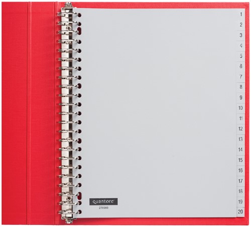 Tabbladen A4 1-20 23g. grijs pp extra breed Quantore