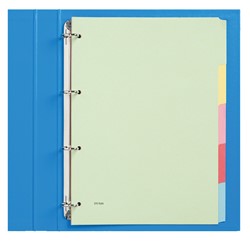 Budget tabbladen karton gekleurd 4-gaats