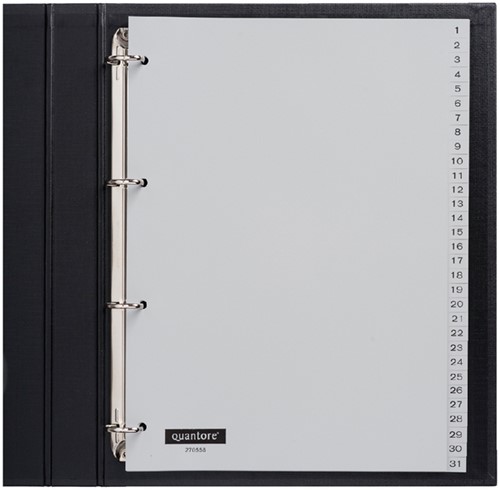 Tabbladen A4 1-31 4g. grijs pp Quantore