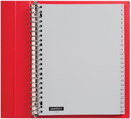 Tabbladen A4 1-100 23r. grijs pp Quantore