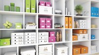Opbergbox Leitz WOW Click & Store 265x188x335mm blauw-2