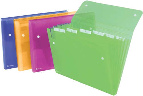 Sorteermap Rexel Ice 6-tab assorti