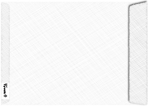 Enveloppen Tyvek 254x353mm ds/100