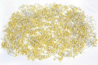 Papiervernietiger Rexel REM820 2x15mm-3
