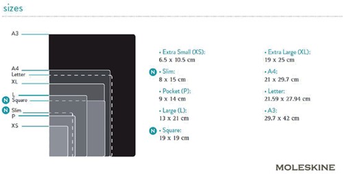 Notitieboek Moleskine lijn large 130x210mm zwart-2