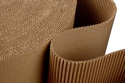 CleverPack golfkarton