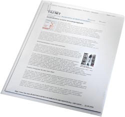 Leitz insteekmap L-model PP