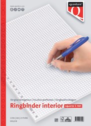 Ringbandinterieur A4 23r Quantore ruit 5mm pak/100
