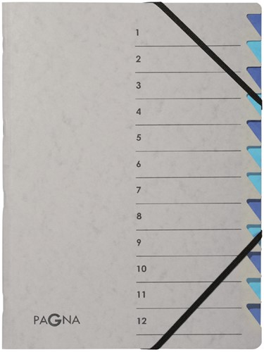Sorteermap Pagna Easy 12tab A4 PP grijs/blauw