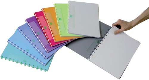 Schrift Adoc Colorlines A4 ruit 5x5mm 144blz 90gr PP assorti