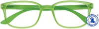 Leesbril X +1.00 Regenboog Groen-2