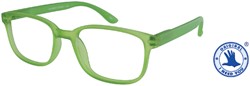 Leesbril X +1.00 Regenboog Groen