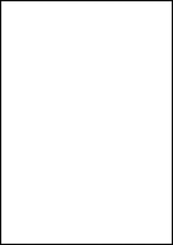 Etiket A4 210x297mm 6119 ds/25-2