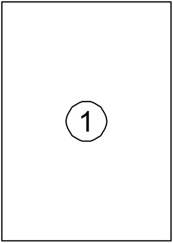 Etiket A4 210x297mm Quantore ds/100