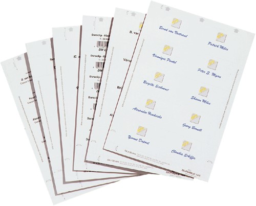 Badgekaart Durable 1455 54x90mm pk/200